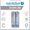 Piles rechargeables AAA EverActive Silver Line 800 mAh